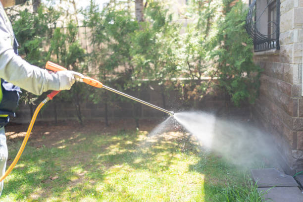 Best Bird Control  in Meraux, LA